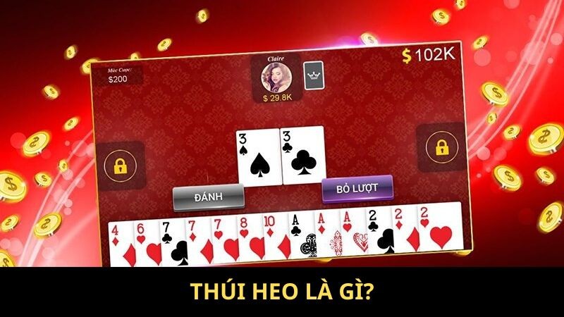 Thúi heo là gì zo88