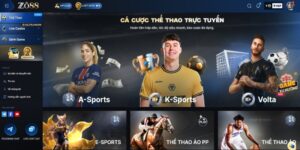 Tuyệt chiêu cá độ bóng đá